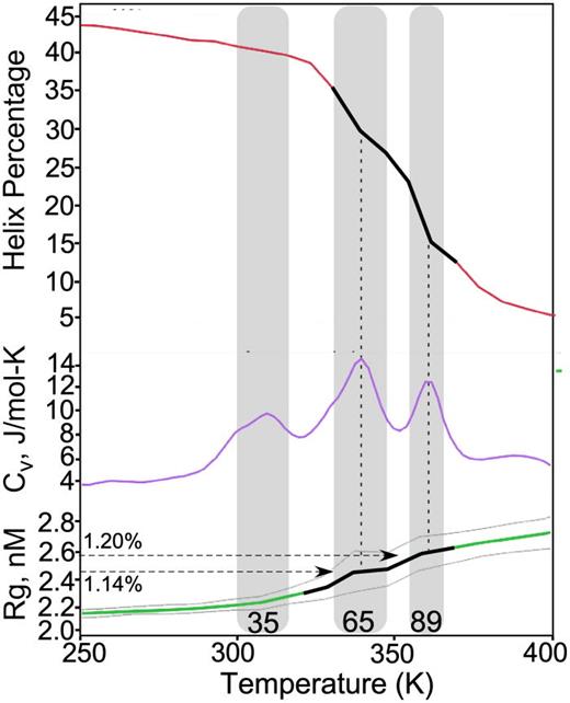 Computational traces of structural and thermodynamic changes associated with fully liganded monomeric TrpRS thermal denaturation. Gray shading highlights successive maxima in the specific heat capacity, Cv, (blue curve). Temperatures in °C are included above the x axis to facilitate comparison with the experimental melting curves in Fig. 1. Each transition corresponds to increases in volume, as indicated by the radius of gyration (Rg, green curve, bounded by its uncertainties in gray). The 14% increase in Rg in the second transition corresponds to that (15–20%) expected from formation of a molten globule.44 Similarly, the loss in helical content (red curve) occurs in two stages, the more dramatic of which coincides with the second transition with an Rg value increased by 20%. The two, principal, symmetric peaks occur at temperatures corresponding to those measured by Thermofluor (65 vs 69 °C) and ellipticity (89 vs 80 °C). Vertical dashed lines align discontinuities in both structural parameters (black lines highlight transitions of interest) with the stationary points of the Cv trace.
