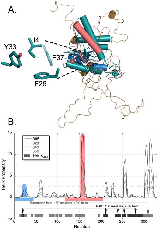 The TrpRS catalytic apparatus denatures last. (a) The TrpRS urzyme (teal49,51) is superimposed on the averaged structure from the ensemble at 94 °C (sand, sky, and salmon). The first crossover of the urzyme is colored sky, and the second is colored Salmon in keeping with the colors in (b). Teal sticks are the four D1 switch residues. The urzyme remains largely intact whereas most of the rest of the monomer is unfolded. (b) TrpRS helix propensities computed using the Agadir server52 for different temperatures. Only three of the helices observed in the TrpRS structure (residues 154–166; residues 253–261; and residues 303–324) have peak propensities exceeding 2.5 (dashed line) at the highest temperature used in our experiments (368 K). The Rossmann fold (gray) and anticodon-binding (ABD; black) domains are interleaved; the first helix participates in both domains, as its N-terminus moves as a rigid body with the ABD. This interleaving likely contributes to the high cooperativity of the helix melting transition monitored by θ221.26 The two colored segments together comprise the urzyme.