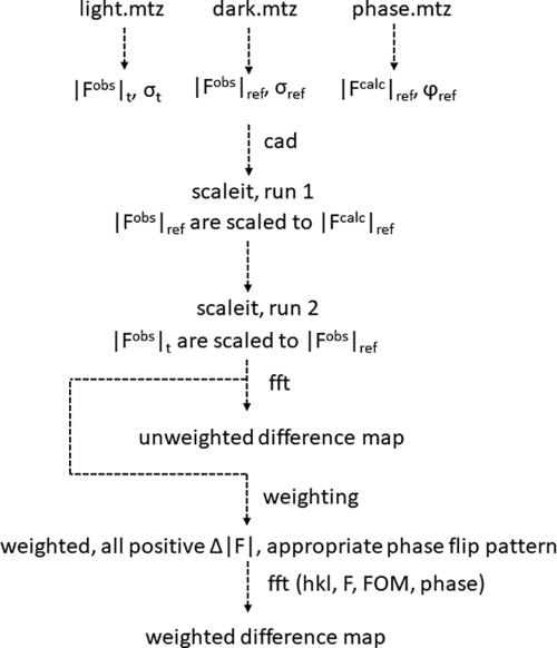 From structure factor amplitudes to weighted DED maps. Here, datasets from a pump-probe experiment are evaluated. Observed structure factor amplitudes and their experimental errors (sigmas) are obtained from crystals that were excited by laser light (light.mtz). A reference dataset is collected in the dark (dark.mtz). Phases and calculated amplitudes are available after refinement. Scaleit from the ccp4 suite of programs is used to scale the data together. After scaling, unweighted DED maps can be calculated. Weighted, positive difference amplitudes as well as an appropriate phase flip pattern will be provided to calculate weighted difference maps. The input to “fft” is equivalent to that required for the calculation of a conventional “figure of merit (FOM)” weighted electron density map.