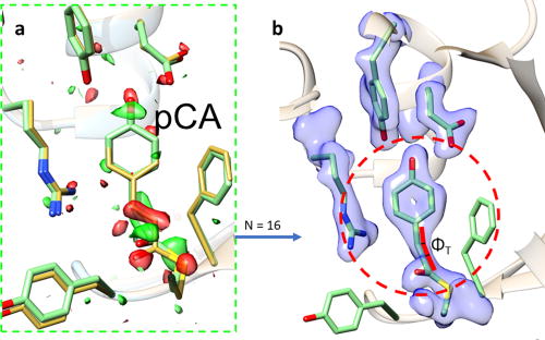 Extrapolated electron density from a DED map. (a) A DED map of PYP determined at 3 ps after reaction initiation. The yellow structure is the reference structure, and the green structure is determined from the extrapolated map. It fits the DED features perfectly. (b) Extrapolated map with NC = 16. Data collected at LCLS. The region of interest used to integrate the negative electron density in the extrapolated map. The torsional angle ΦT is marked in red. It is about 35°.