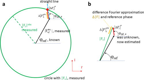 Correcting the difference Fourier approximation. Argand diagram to estimate the true length (red) of a difference structure factor amplitude that has been previously determined by projection (orange). (a) The true phase, φ|ΔF|,#, of the difference structure factor can be estimated once structural models of an intermediate and the reference state are available. The blue line points along the φ|ΔF|,#. By circling about the origin with the measured time-dependent structure factor amplitude (green), the triangle closes at the red dot. The closure is again shown in (b). An estimate of the true difference structure factor (in red) with amplitude and phase in relationship to the projected difference structure factor amplitude (orange) is depicted.