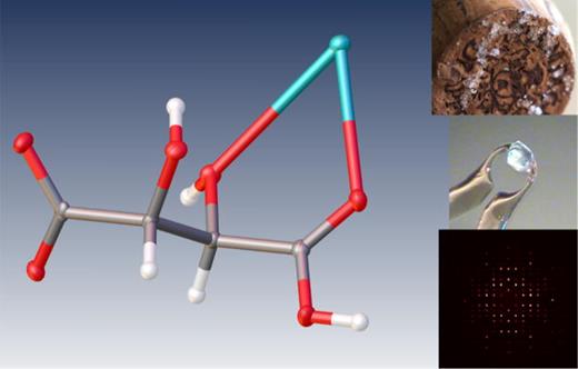 Potassium bitartrate crystal structure from wine cork, collected during crystallography lab outreach with secondary school students.