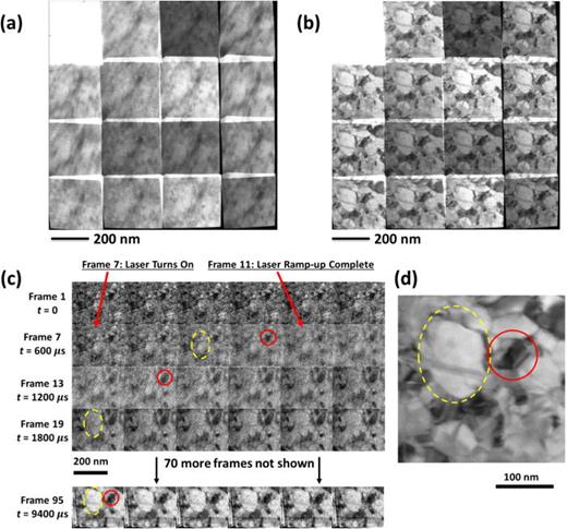 FIG. 4. 10 kHz CS video of laser-driven coarsening of nanocrystalline Au. (a) Raw measurement of time-resolved video. Contrast range set to saturate the upper-left sacrificial frame and thus accentuate contrast in the remaining 15 frames, totaling 10 ms. (b) Similar raw measurement of the postlaser-shot static coarsened sample. (c) Selected frames of the 100-frame CS video reconstruction derived from (a). Notable features accentuated with red circles and yellow dashed ellipses. (d) Single-frame static reconstruction derived from (b), representing an aligned, denoised combination of 15 subframes with a total exposure time of 10 ms. Circles (red in online version) and dashed ellipses (yellow in online version) denote the same features as in (c).