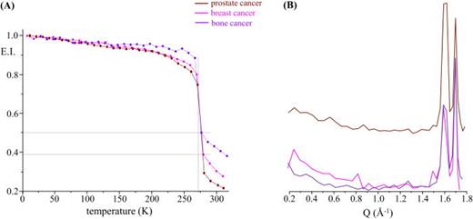 FIG. 2. Elastic scan plots as a function of T (a) and of Q (at 270 K) (b), for all cancer cells studied—breast, prostate, and bone cancers [in (a), the plots represent the elastic intensity integrated over the OSIRIS instrumental resolution, normalized to the elastic intensity obtained at the lowest temperature (10 K)].