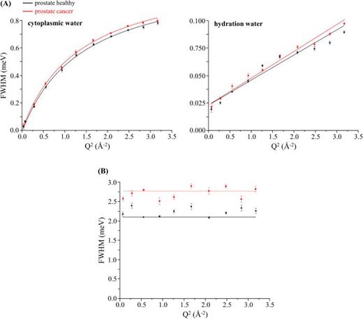 FIG. 4. Variation of the full widths at half-maximum (FWHM) with Q2 for human prostate cancer and prostate healthy cells (at 310 K): (a) Lorentzian functions representing the translational motions of intracellular water—cytoplasmic medium and hydration layers (Γglobal); and (b) Lorentzian function representing the internal localized motions within the cell (Γlocal).