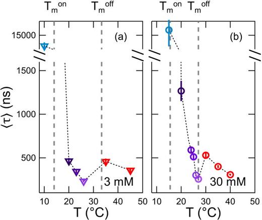 FIG. 2. Average relaxation time, ⟨τ⟩=ταΓ(1α), determined from stretched exponential fits to the intermediate scattering functions for (a) 3 mM DMPG and (b) 30 mM DMPG at q = 0.8 nm–1 as a function of temperature. The y-axis has been split to show the increase in dynamics in the transition region (purple points) compared to the gel (blue points) and fluid phases (red points). The dotted line connecting the points is to guide the eye. Vertical dashed lines show the temperature range corresponding to the transition region for the different lipid concentrations.