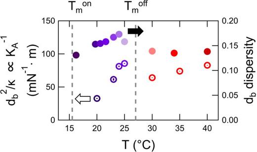 FIG. 6. Estimated trends in the thickness fluctuation amplitude in the transition region and fluid phase. Bilayer thickness, db, divided by κ determined by combining the NSE and SANS results for 30 mM DMPG (left axis, open symbols) where db2/κ is inversely proportional to the bilayer compressibility modulus, KA, and distribution of bilayer thickness determined from fitting the SANS data (right axis, closed symbols). Both KA−1 and db dispersity are related to the amplitude of the collective thickness fluctuations. The dashed lines correspond to the onset and end point of the phase transition and the purple and red points correspond to values calculated for the intermediate and fluid phases, respectively.