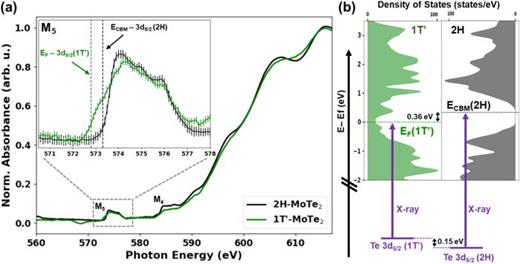 FIG. 2. (a) Normalized Te M5,4-edge x-ray absorption spectrum of 2H- and 1T′-phases of MoTe2. Note the dip in absorption at ∼568 eV in the 1T′-MoTe2 spectrum is caused by an imperfect I0 normalization during refill of the synchrotron ring during that measurement. The inset shows an expanded plot of the Te M5 pre-edge feature. The green vertical dashed line denotes the energy of the Fermi level, EF, in 1T′-MoTe2 relative to the Te 3d5/2 core level of the 1T′ phase. The black vertical dashed line denotes the energy of the CB minimum, ECBM, in 2H-MoTe2 relative to the corresponding Te 3d5/2 core level of the 2H phase. (b) Calculated total DOS of bulk 2H- and 1T′-MoTe2. The dashed horizontal lines mark the calculated energies of EF(1T′) and ECBM(2H) with an energy scale set relative to the Fermi level of 1T′-MoTe2. The vertical purple arrows represent the onset of core-level transitions at the Te M5 edge of both phases, corresponding to the vertical dashed lines in (a). As the x-ray energy is increased above each onset, carriers are promoted to higher-energy states above EF(1T′) and ECBM(2H). Note the slight difference (0.15 eV) in the Te 3d5/2 core-level ionization potential in the 1T′-phase compared to the 2H-phase MoTe2 (see the supplementary material for more details), which gives a total difference of 0.51 eV in the expected XAS onsets of the two phases.