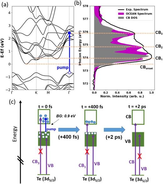 FIG. 3. (a) Band structure of 2H-MoTe2 along the Γ−Κ−Μ−Γ path. One representative VB → CB transition induced by the 400 nm pump pulse is shown as a blue arrow. (b) Experimental static XAS, CB DOS, and OCEAN-simulated spectra are plotted and horizontal dashed lines are drawn at representative energies within the CB, labeled CB1, CB2, and CB3. (c) A model of the probing scheme by x-ray transient absorption of 2H-MoTe2. The VB and CB are shown schematically as filled and empty boxes and photoexcited electrons and holes are drawn as filled or empty circles, respectively. Representative x-ray transitions from the Te 3d5/2 core level are shown with and without an X to represent a decrease or increase in absorption relative to the static spectrum, respectively, due to state filling.
