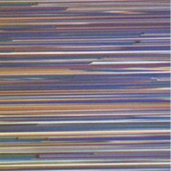 Special Collection Image