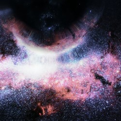 Special Collection Image
