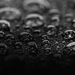 Special Collection Image