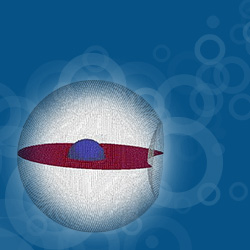 Special Collection Image