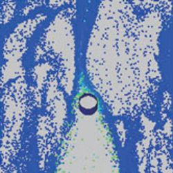 Special Collection Image