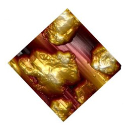 Special Collection Image