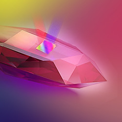 Special Collection Image