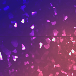 Special Collection Image